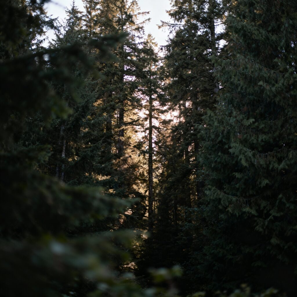 homes for sale Highlands BC