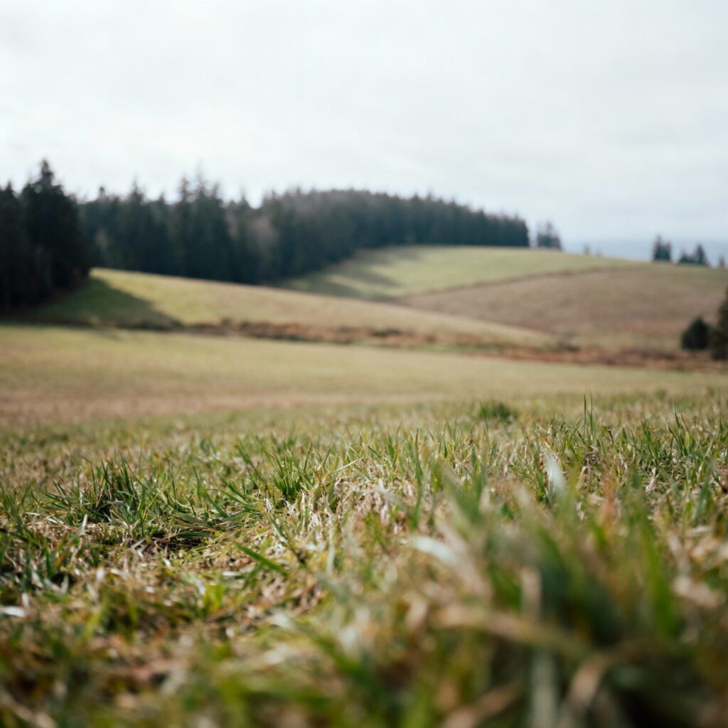 land for sale Saanich Peninsula